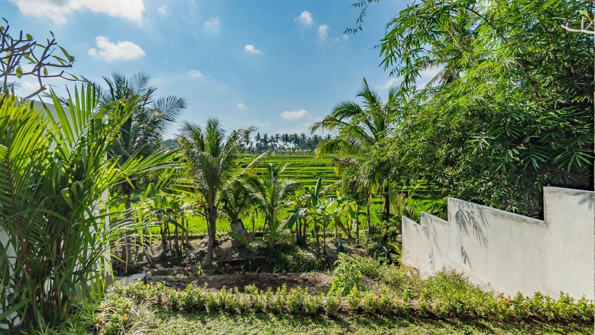 Padi Luwih Villa Ubud Dış mekan fotoğraf
