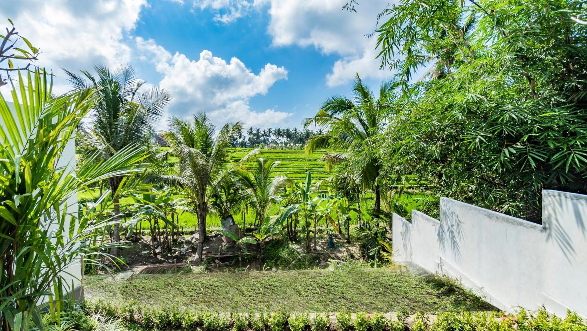Padi Luwih Villa Ubud Dış mekan fotoğraf